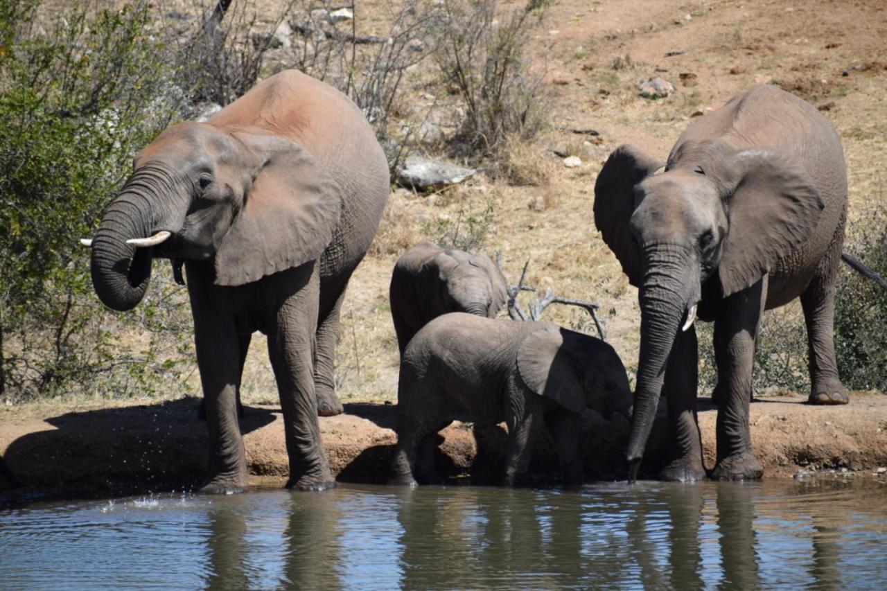 Milima Big 5 Safari Lodge Hoedspruit Exterior foto