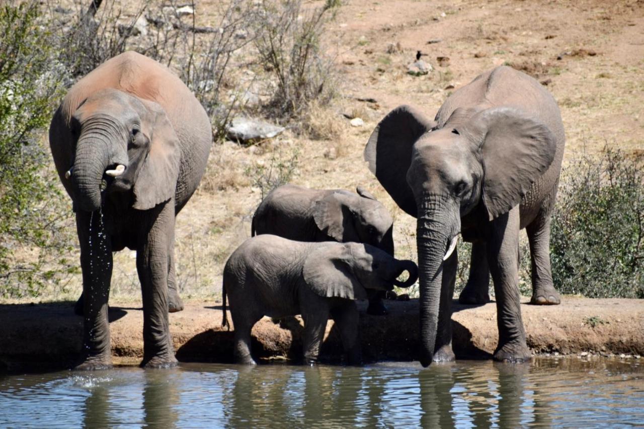 Milima Big 5 Safari Lodge Hoedspruit Exterior foto