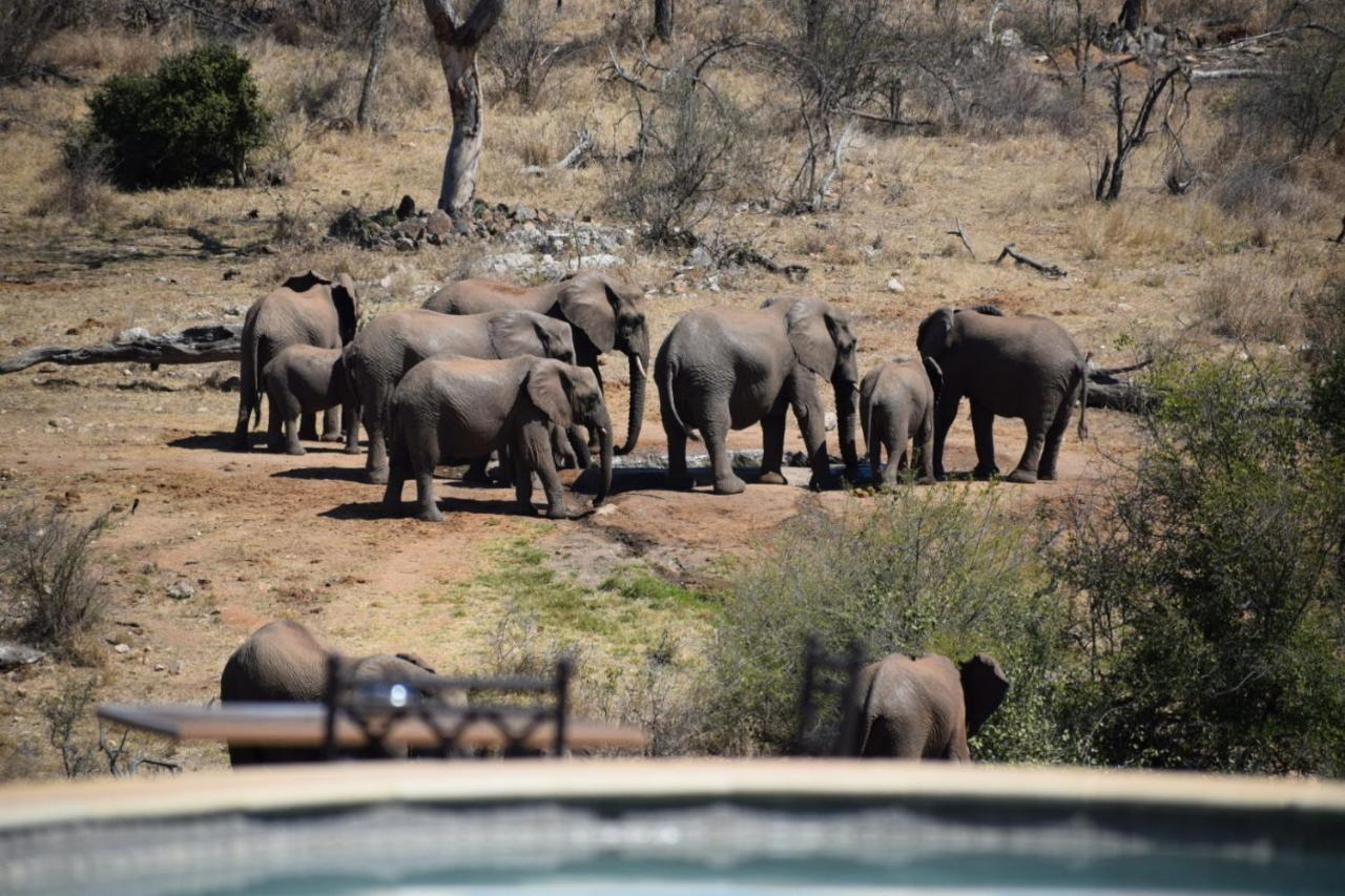 Milima Big 5 Safari Lodge Hoedspruit Exterior foto