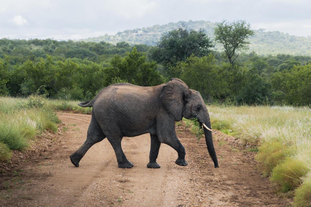 Milima Big 5 Safari Lodge Hoedspruit Exterior foto